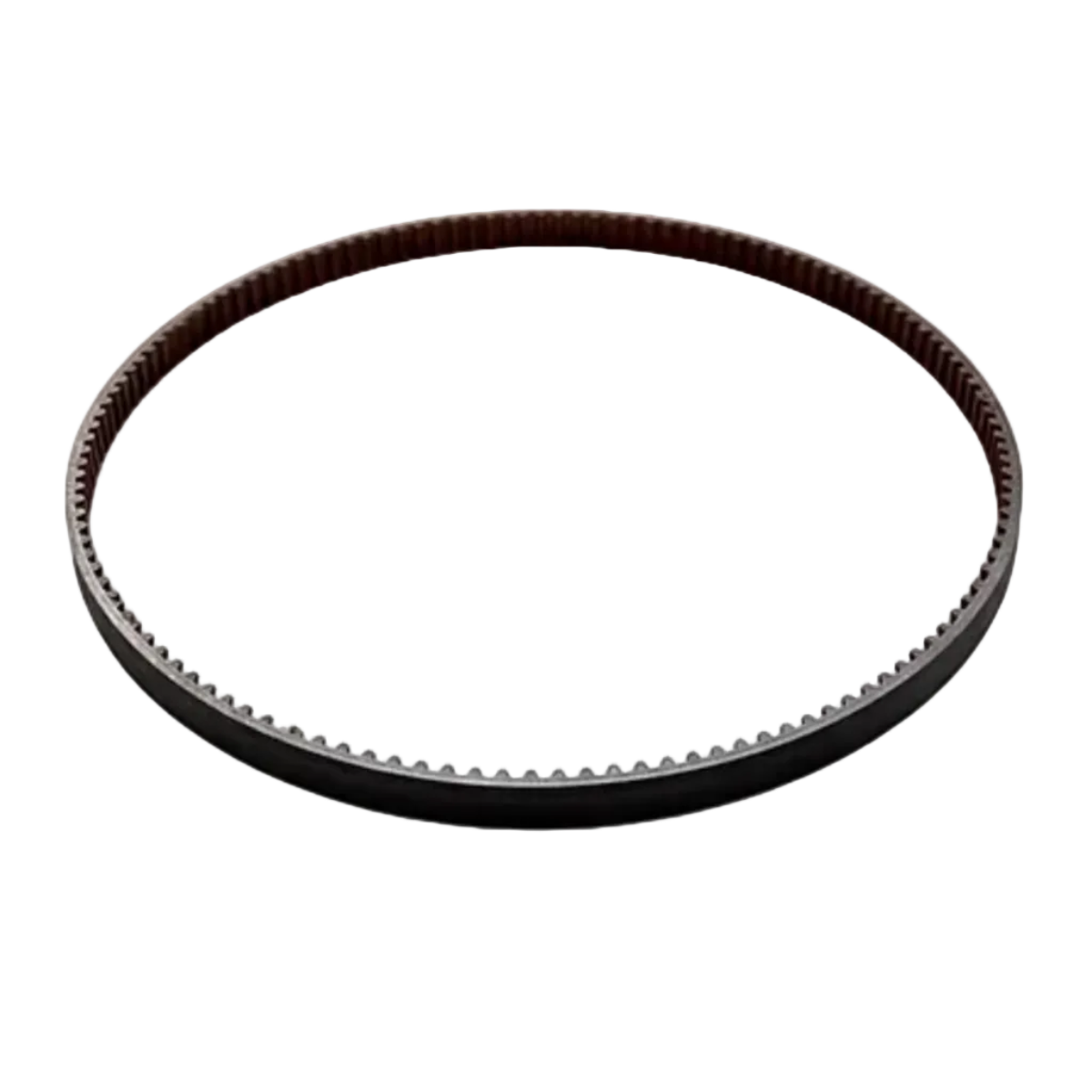 Clearline Dough Maker Belt JP24A