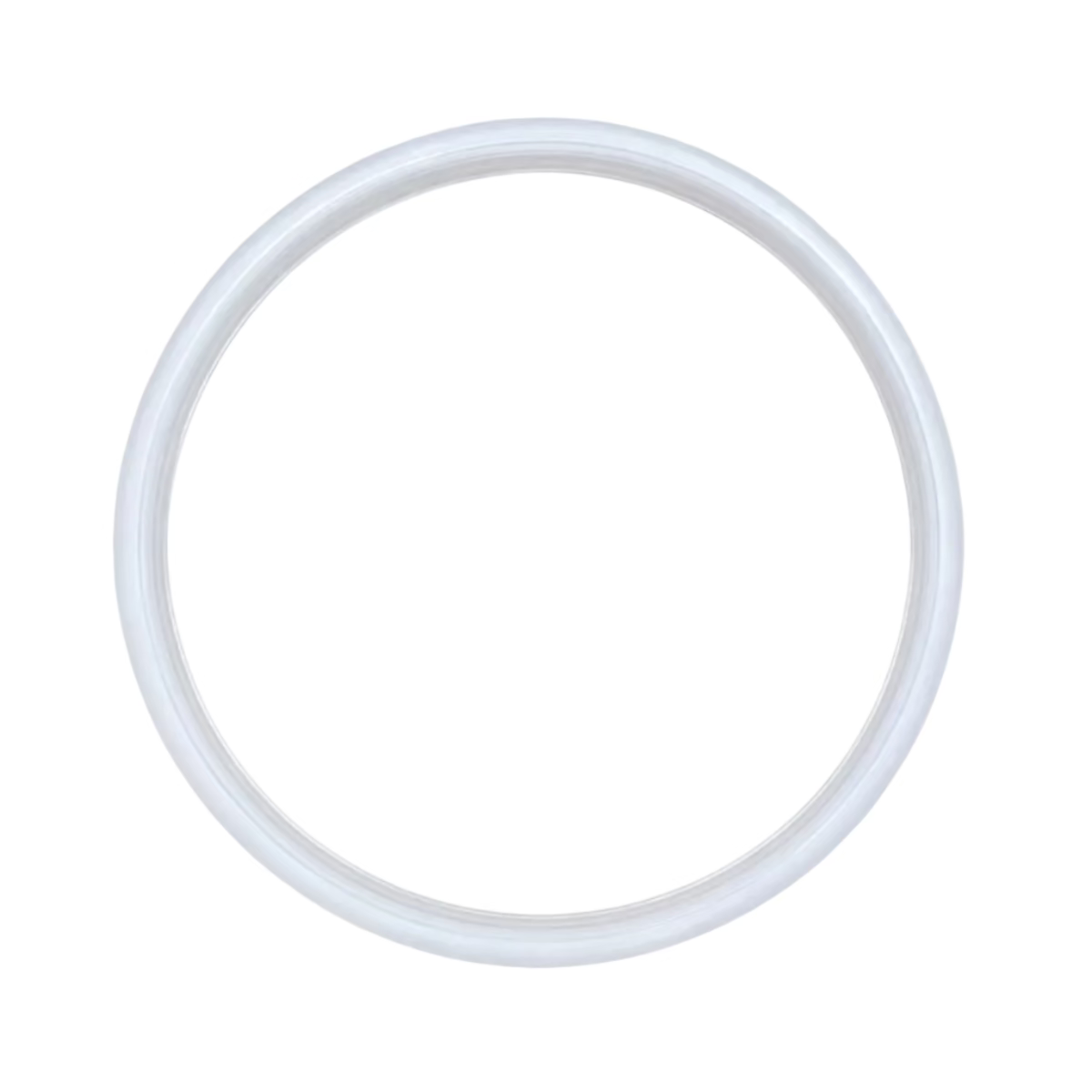 Sujata DX Flat Jar Cover Ring (Gasket)